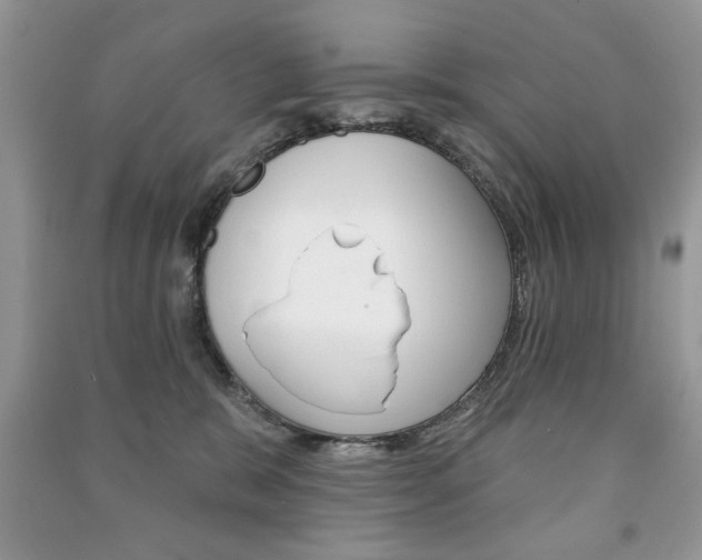 X0000091170327200708091029