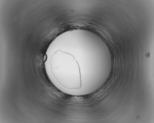 X0000091170328200708091029