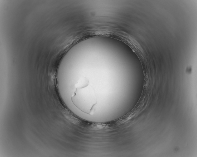 X0000091170329200708091029