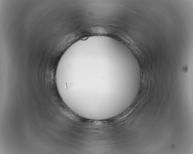 X0000091170330200708091029