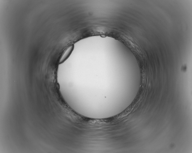 X0000091170331200708091029