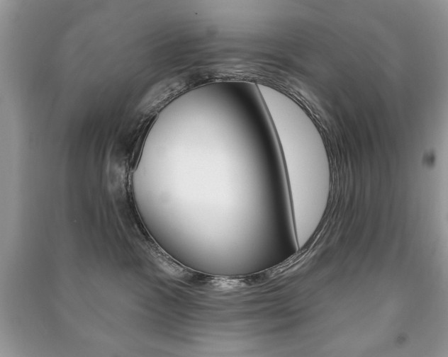 X0000091170333200708091029