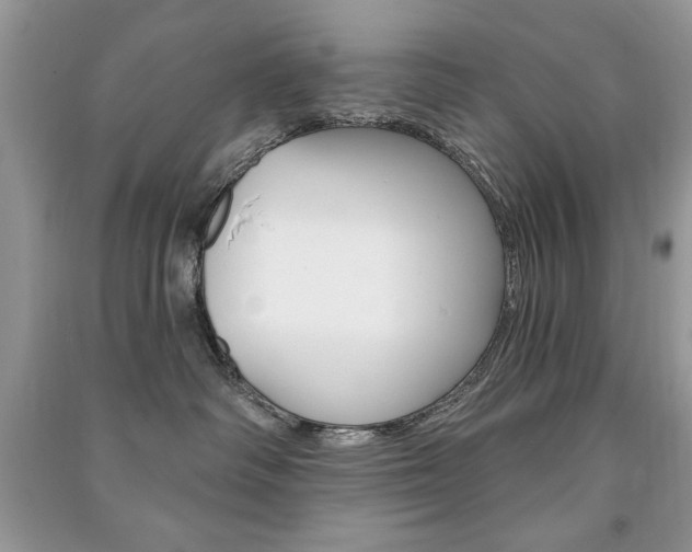 X0000091170334200708091029