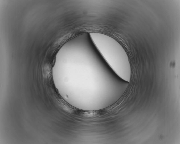 X0000091170335200708091029