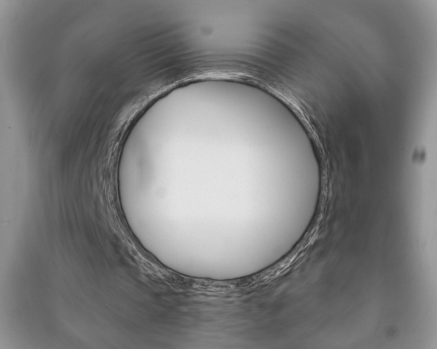 X0000091170337200708091029