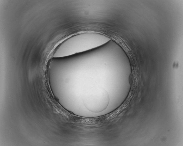 X0000091170338200708091029
