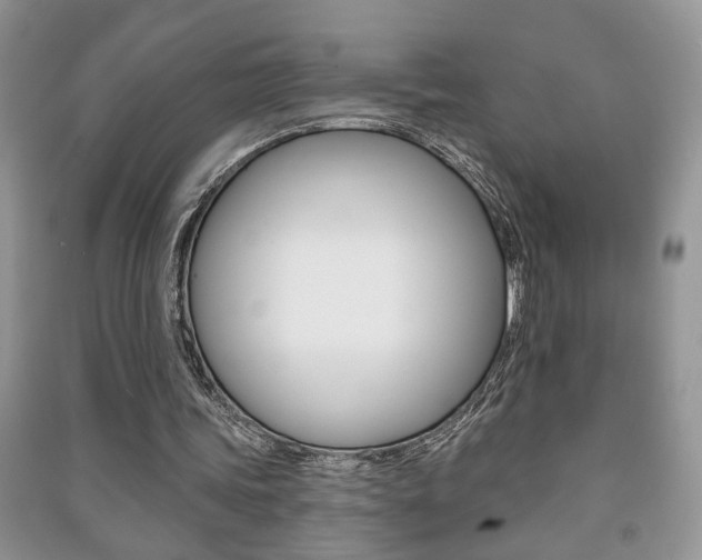X0000091170339200708091029