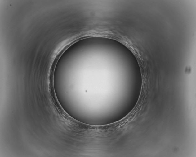 X0000091170340200708091029