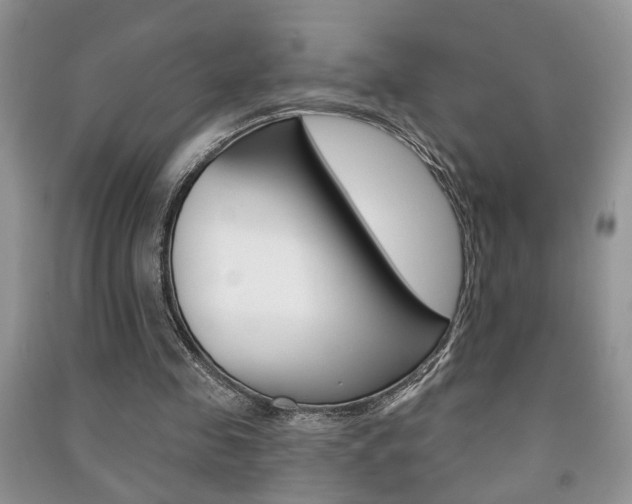 X0000091170341200708091029