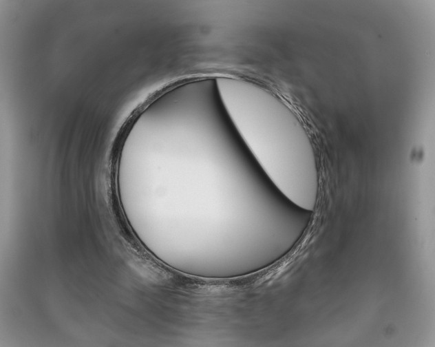 X0000091170342200708091029