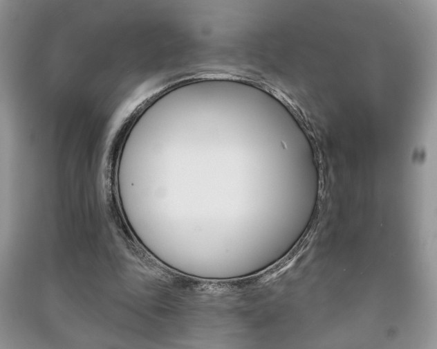 X0000091170343200708091029