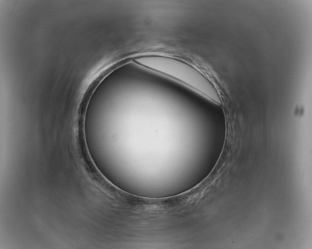 X0000091170344200708091029