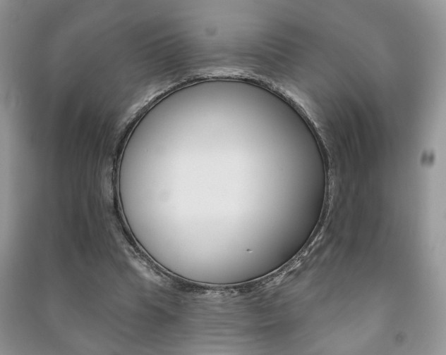 X0000091170345200708091029