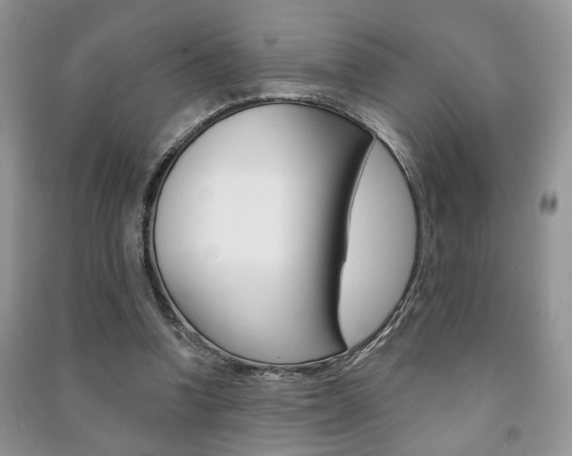 X0000091170346200708091029