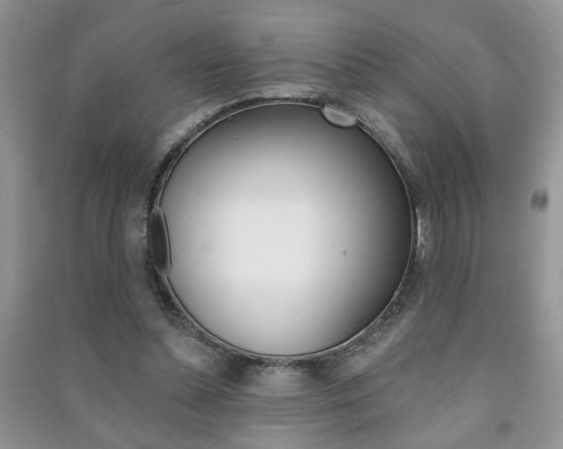 X0000091170348200708091029