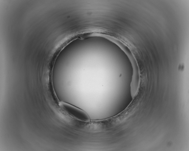 X0000091170350200708091029
