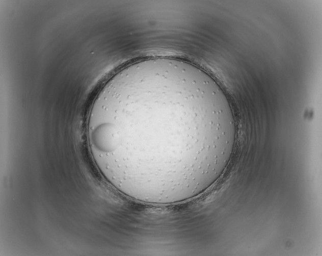 X0000091170351200708091029