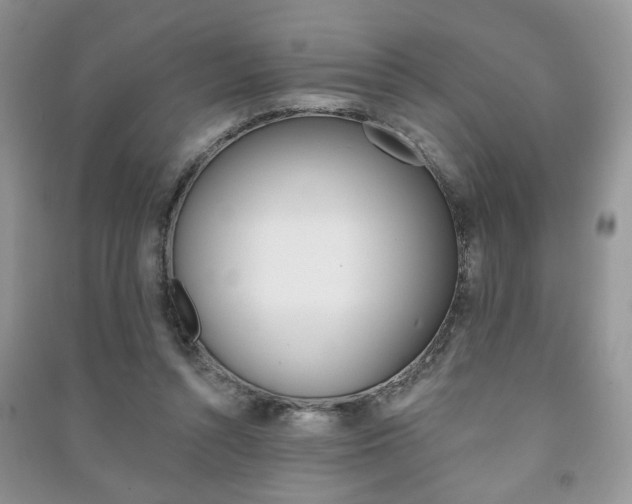 X0000091170352200708091029