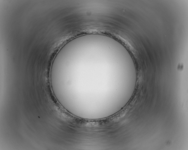 X0000091170353200708091029