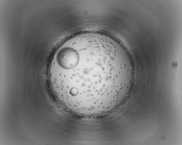 X0000091170354200708091029