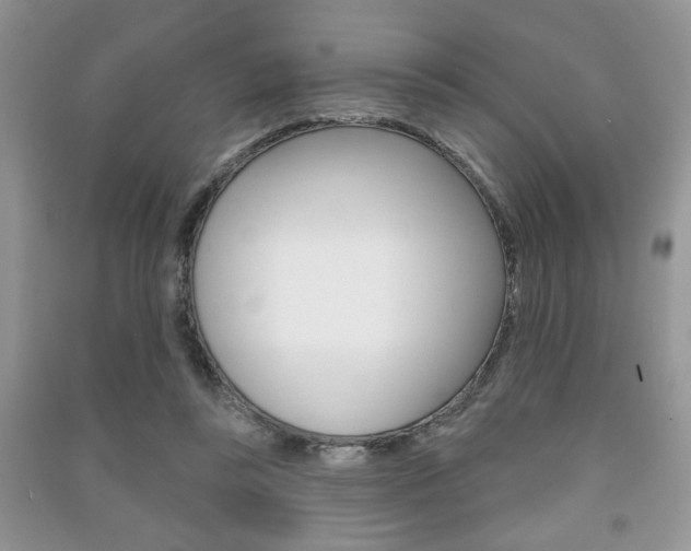 X0000091170355200708091029