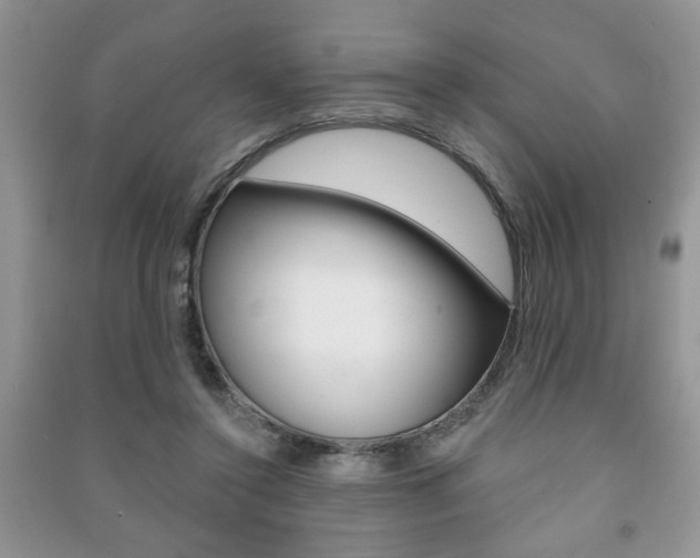X0000091170356200708091029