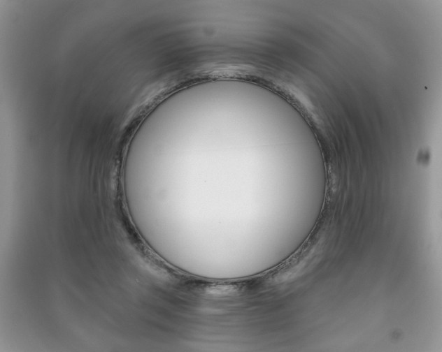 X0000091170357200708091029
