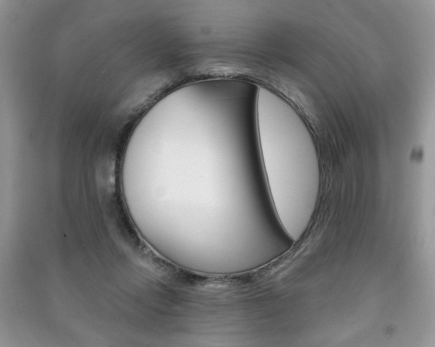 X0000091170358200708091029
