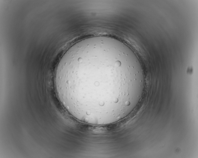 X0000091170359200708091029