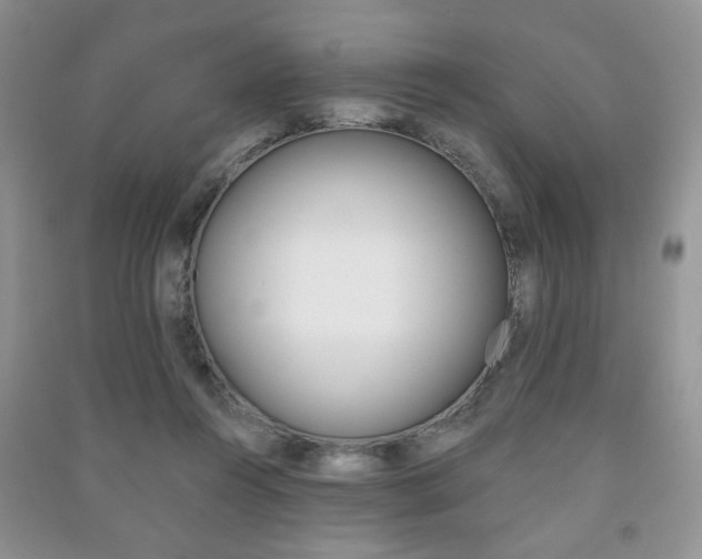 X0000091170360200708091029