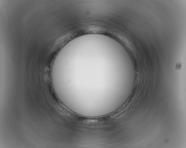 X0000091170361200708091029
