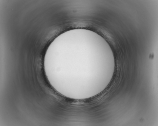 X0000091170362200708091029