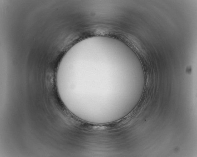 X0000091170363200708091029