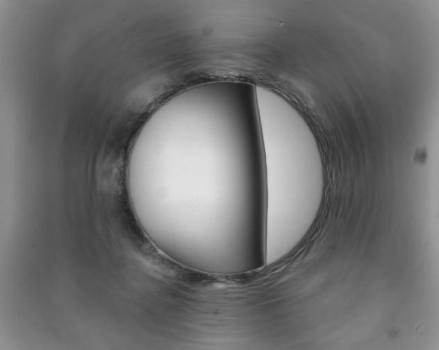 X0000091170364200708091029