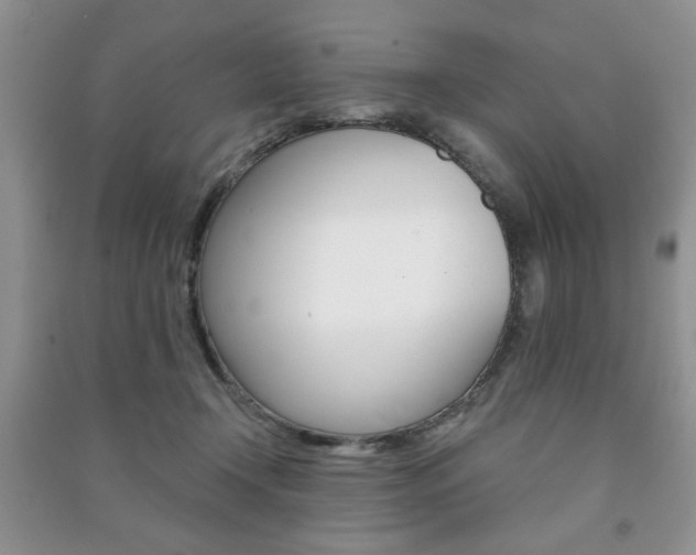 X0000091170366200708091029