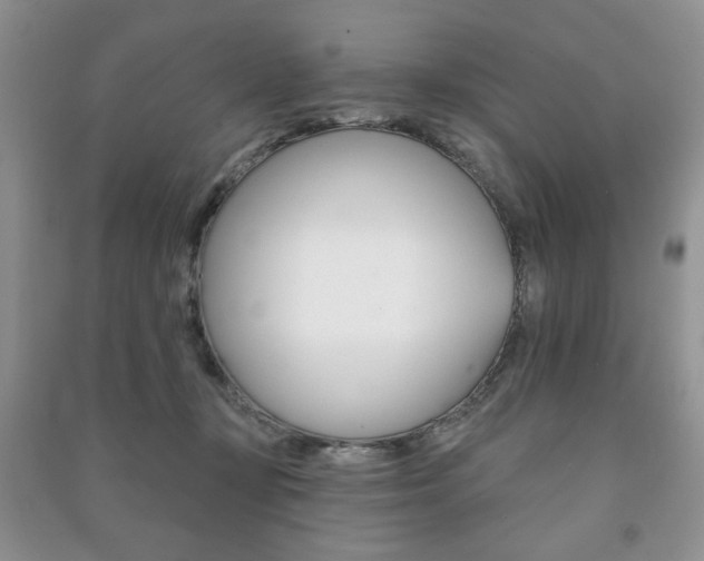 X0000091170367200708091029