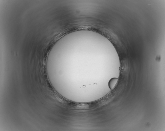 X0000091170369200708091029