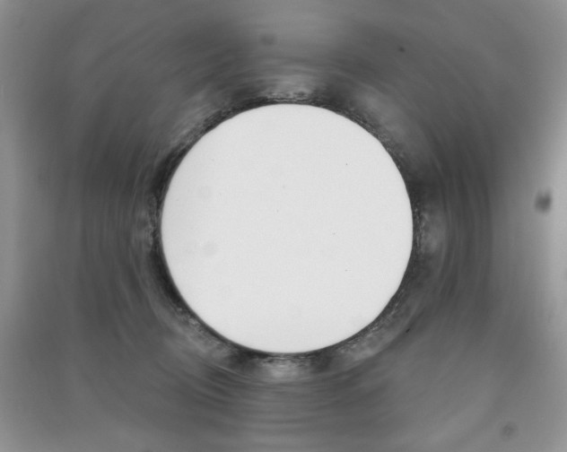 X0000091170370200708091029