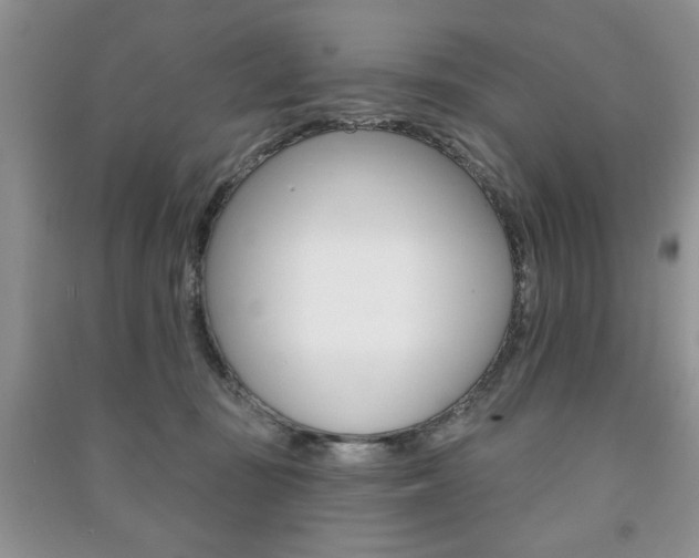 X0000091170371200708091029