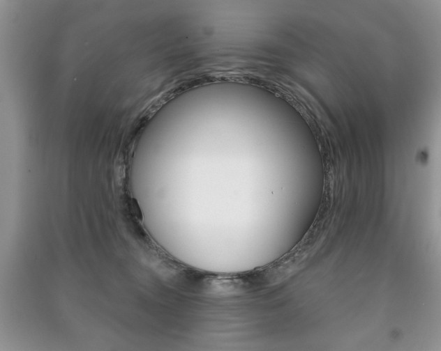 X0000091170372200708091029