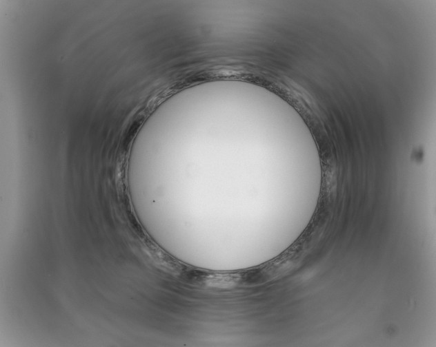X0000091170373200708091029
