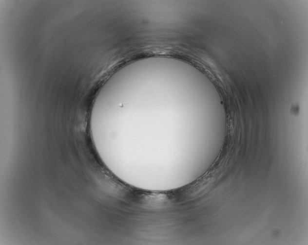X0000091170374200708091029