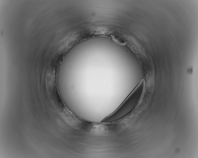 X0000091170376200708091029