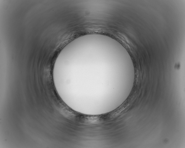 X0000091170377200708091029