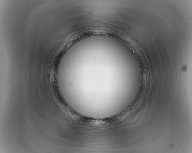 X0000091170379200708091029