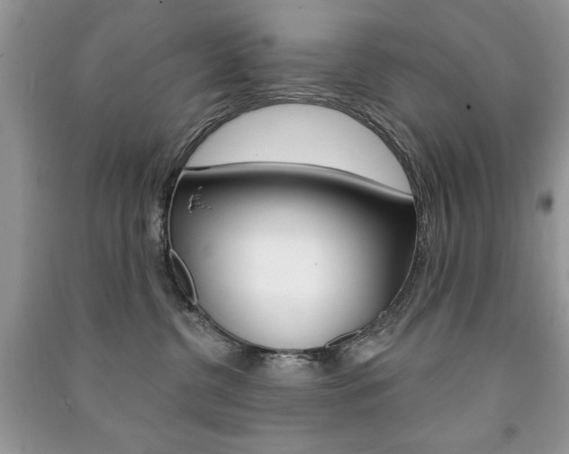 X0000091170380200708091029