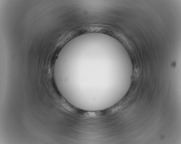 X0000091170381200708091029