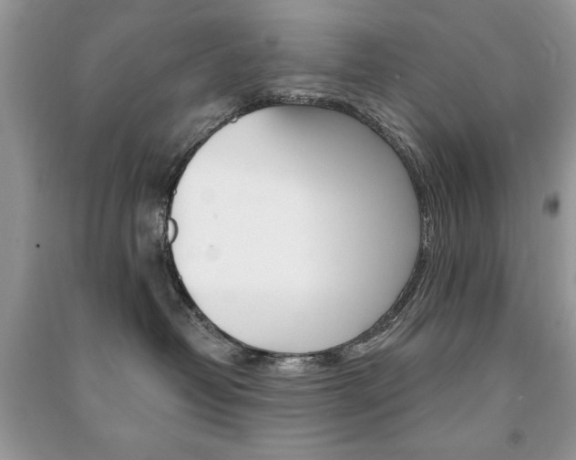 X0000091170382200708091029