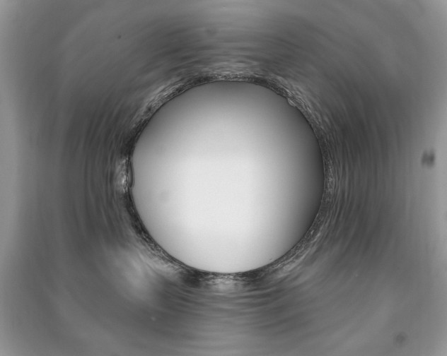 X0000091170383200708091029