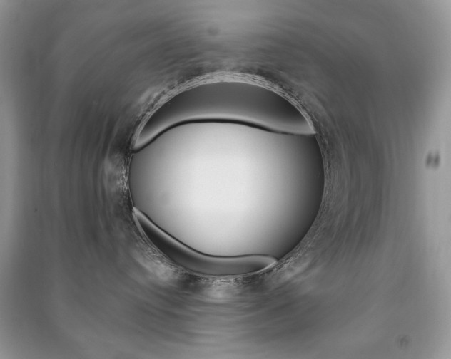 X0000091170384200708091029